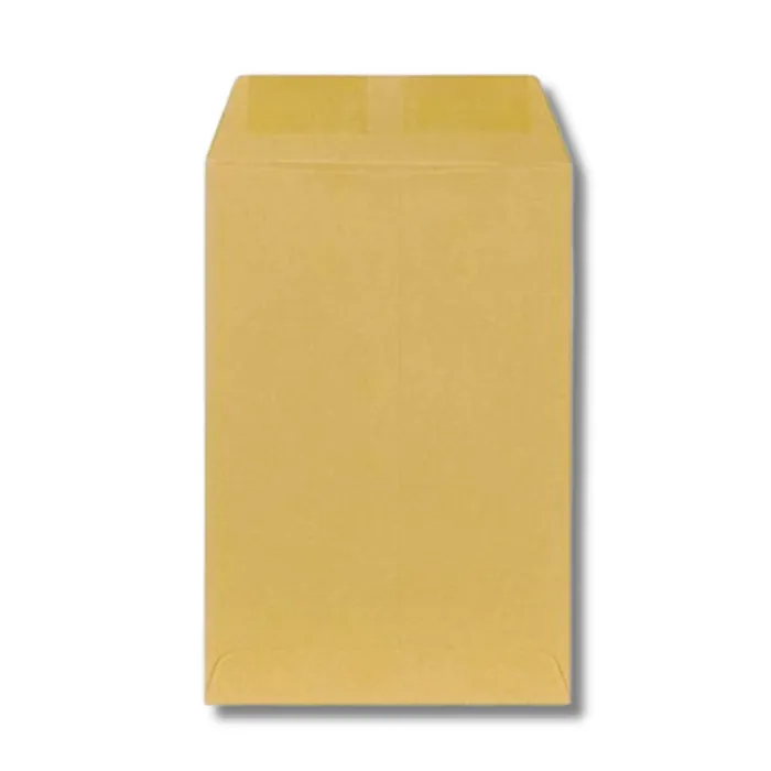 120g FS Envelope Brown 100s pkt